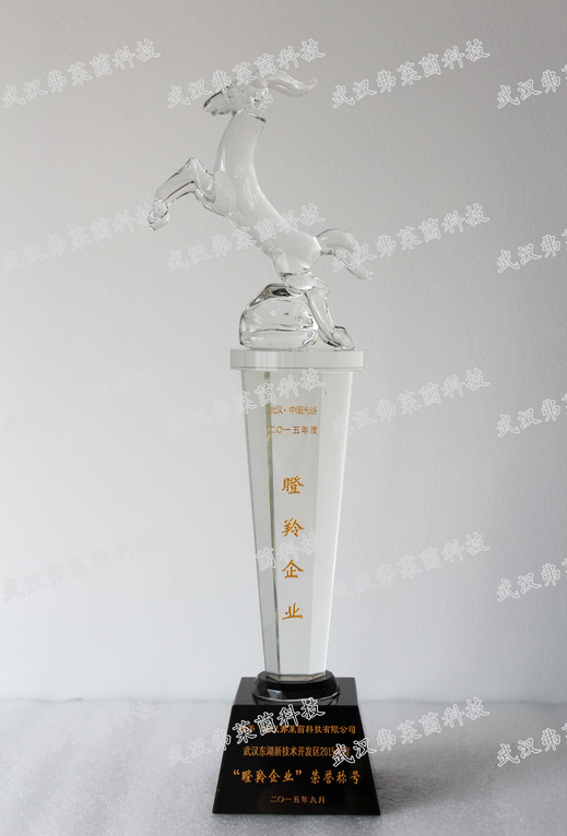 瞪羚企業(yè)證書